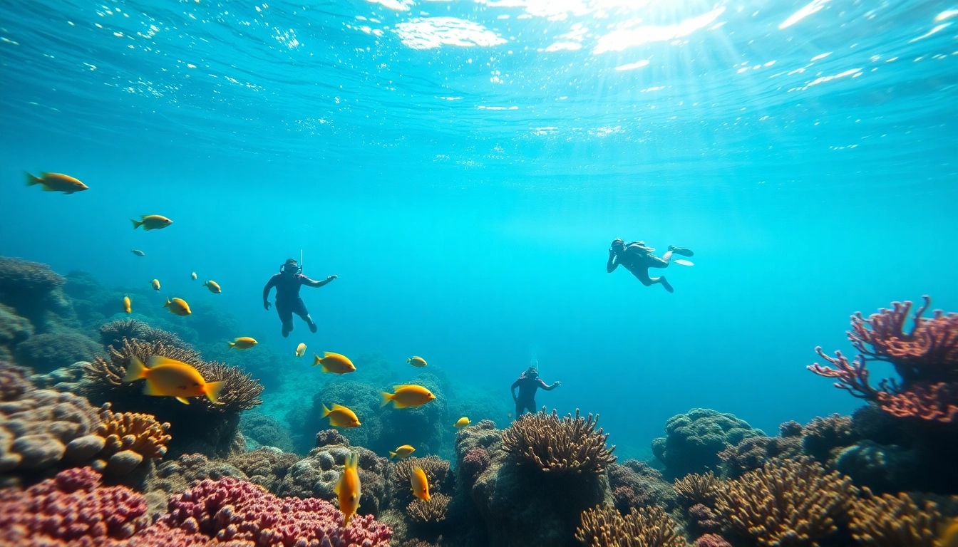 Experience incredible marine life while enjoying Belize Norwegian Cruise ship tours with vibrant underwater scenes.